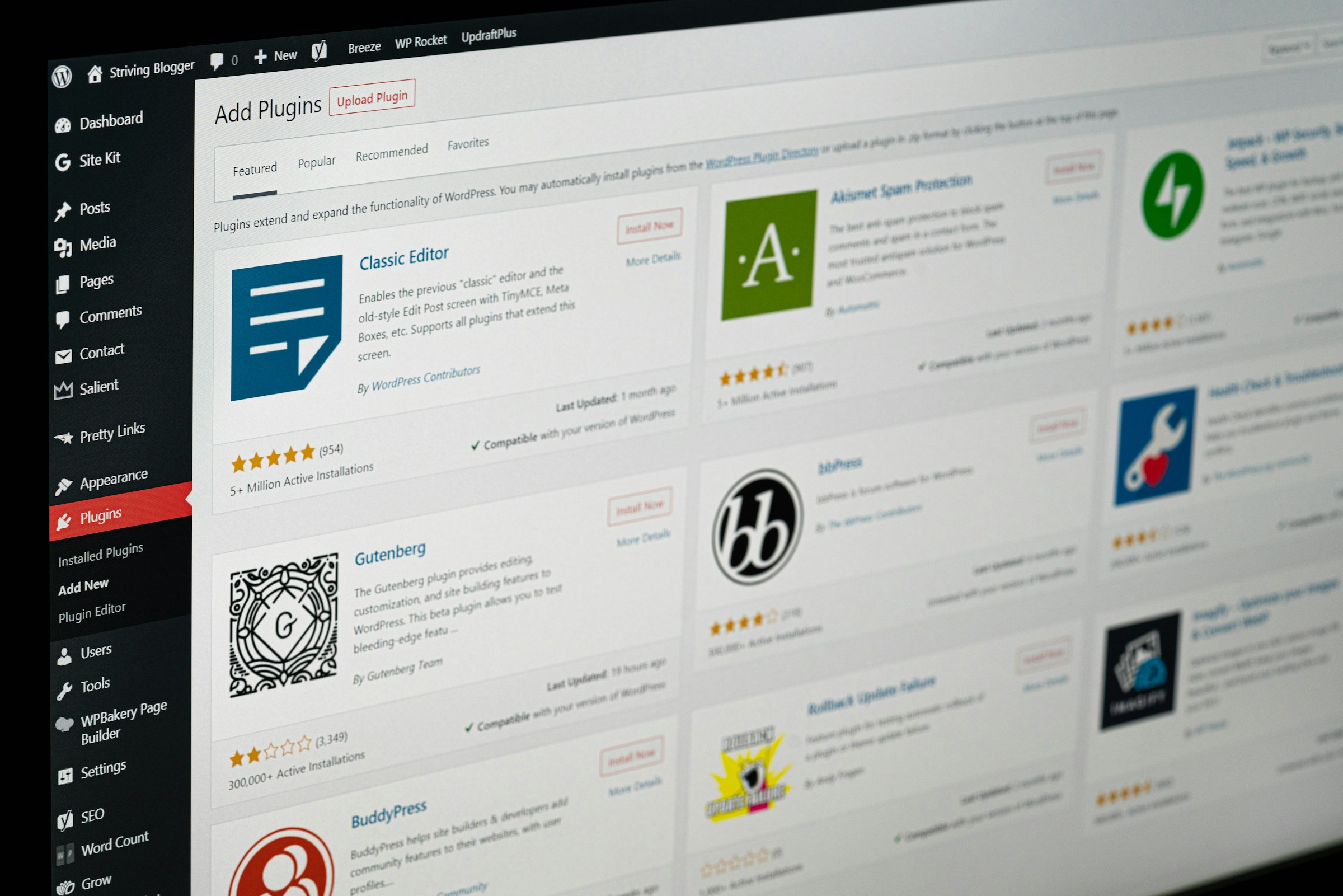 WordPress service